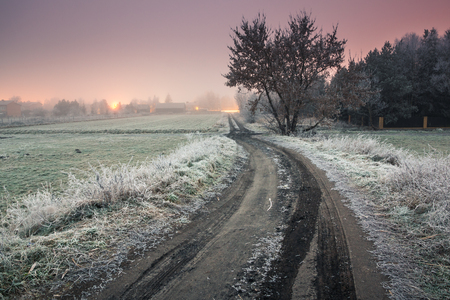 Road through the field on a foggy and frosty morningの写真素材