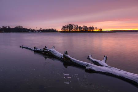 Tree on frozen Swiecajty lake near Wegorzewo, Masuria, Polandの写真素材