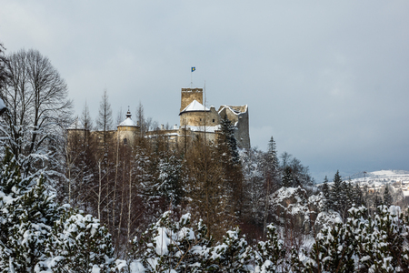 Castle in Niedzica at winter, Pieniny, Polandのeditorial素材