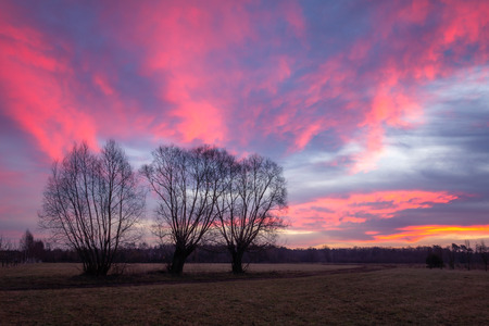 Landscape with willows and beautiful clouds somewhere in Masoviaの写真素材