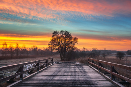 Sunrise over the wooden bridge and lonely tree near Piaseczno, Polandの写真素材