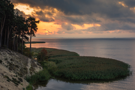Cliff on the Vistula spit near Krynica Morska, Pomorskie, Polandの写真素材