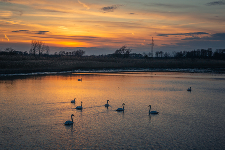 Sunset over the pond near Piaseczno, Masovia, Polandの写真素材