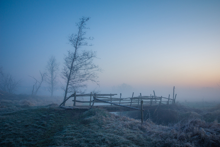 Foggy morning in the valley of the Jeziorka river near Piaseczno, Masovia, Polandの写真素材