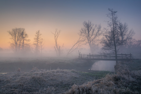 Foggy morning in the valley of the Jeziorka river near Piaseczno, Masovia, Polandの写真素材