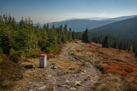 Trail to the peak of Skalny Stol in autumn in the Giant Mountains, Sudety, Polandの写真素材