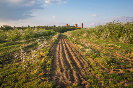 Castle in Czersk in the spring, Masovia, Polandのeditorial素材
