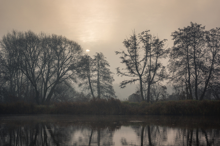 Pond in Zalesie Dolne near Piaseczno, Polandのeditorial素材