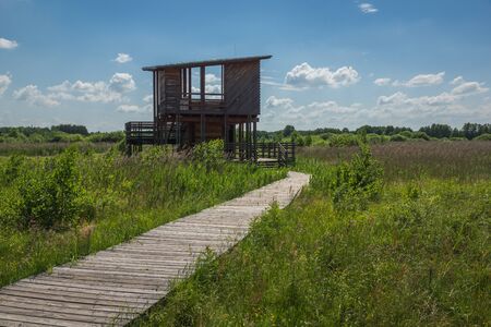 Observation tower in Kampinoski National Park in Granica, Polandの写真素材