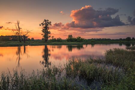 Sunset over the Bzura river near Kamion, Masovia, Polandの写真素材