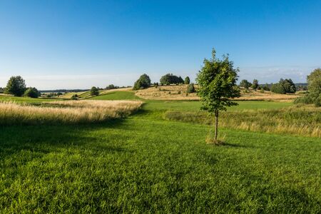 Masurian meadows and fields near Banie Mazurskie, Masuria, Polandの写真素材