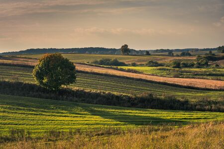 Masurian meadows at autumn near Banie Mazurskie, Masuria, Poland