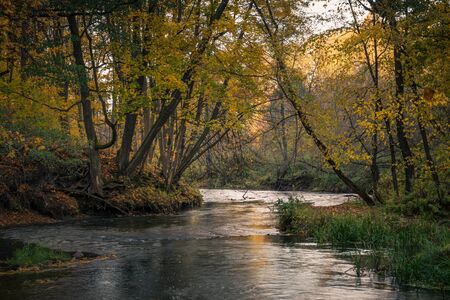 Swider river in autumn near the old weir nearby Kolbiel, Masovia, Poland