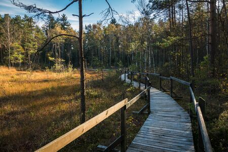 Wooden footbridge over the swamp in Celestynow, Masovia, Poland