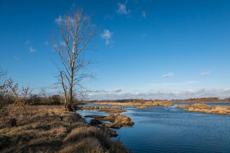 Vistula river at sunny day near Mniszew, Poland