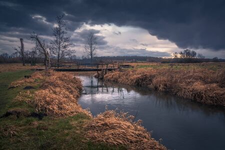 Jeziorka river during a rainy evening near Piaseczno, Polandの写真素材