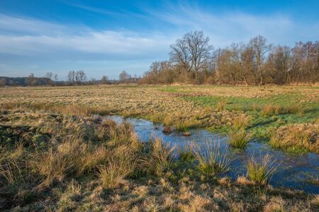 Morning on the meadow in Jeziorka valley near Piaseczno, Polandの写真素材