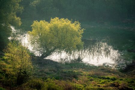 Vistula River Valley in Gniew, Pomorskie, Polandの写真素材