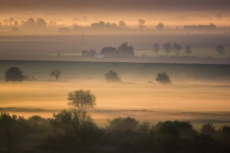 Landscape with foggy morning on the fields in Vistula River Valley in Gniew, Pomorskie, Polandの写真素材
