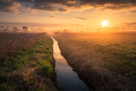 Foggy sunrise in the Jeziorka river valley near Piaseczno, Polandの写真素材