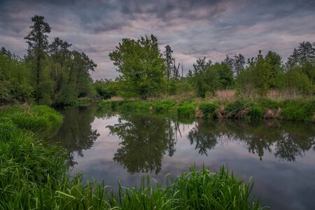 Jeziorka river during cloudy morning at spring near Piaseczno, Polandの写真素材