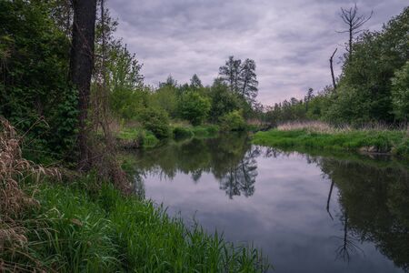 Jeziorka river during cloudy morning at spring near Piaseczno, Polandの写真素材
