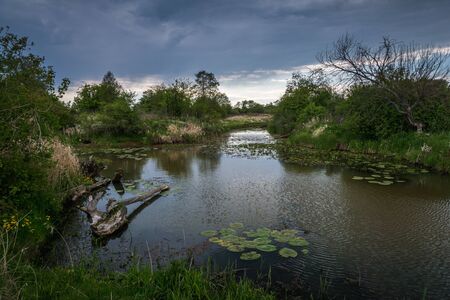 Pilica river at cloudy day near Gostomia, Mazowieckie, Polandの写真素材