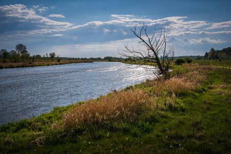 Pilica river at cloudy day near Gostomia, Mazowieckie, Polandの写真素材