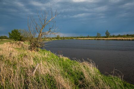 Pilica river at cloudy day near Gostomia, Mazowieckie, Polandの写真素材