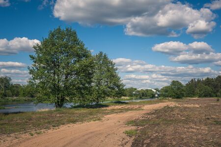 Pilica river at beautiful sunny day near Gapinin, Lodzkie, Polandの写真素材