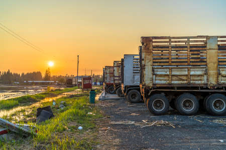 Sunset over Sugar cane Trailers resting area, Surinの写真素材