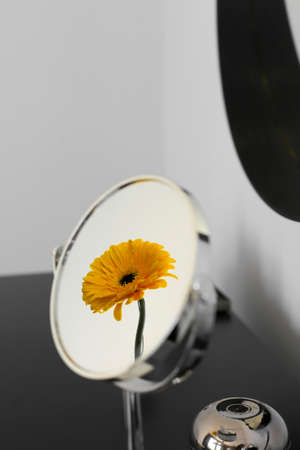 reflection of yellow Gerbera on little mirrorの写真素材