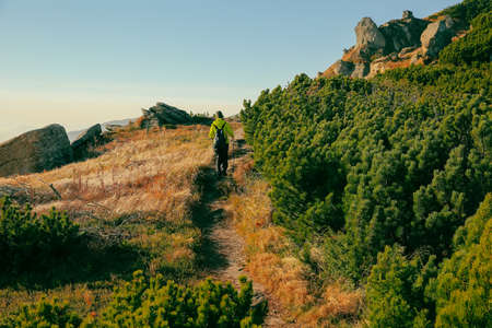 person in the mountains covered with long grass and green bushesの写真素材