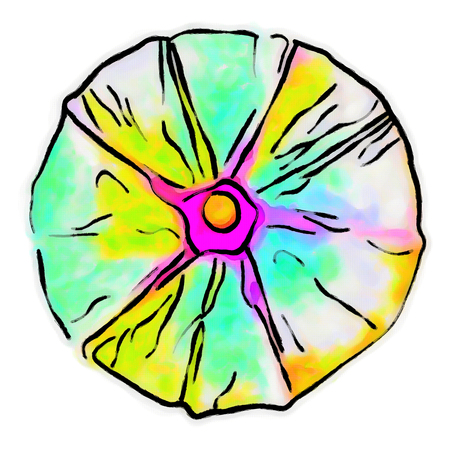Illustration of Morning Glory flower with halftone pattern on a white background.の写真素材