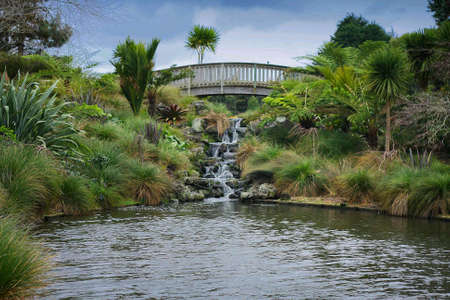 Auckland Botanical Gardenの素材