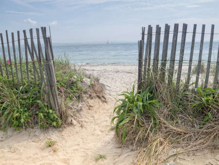 Entrance to the beach in Cape Cod, MAの写真素材