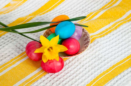 Bright multicolored painted Easter eggs and yellow daffodil on kitchen towel. Easter tradition.の写真素材