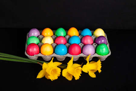 Bright multicolored painted Easter eggs and yellow daffodil on black background. Easter tradition.の写真素材