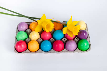 Multicolored, painted Easter eggs in cardboard box and yellow daffodils on white background and copy space.の写真素材