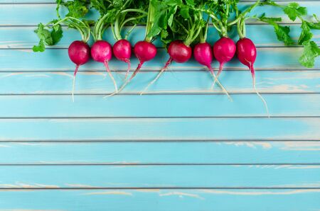 A bunch of fresh red summer radish lying in a row against stylized old aged wooden turquoise table background, top view. Rustic background with free text space.の写真素材