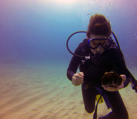 Scuba Diver holding a Sea Urchin underwater