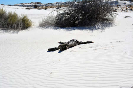 Teen laying flat in sand dunesのeditorial素材