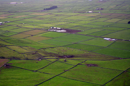 Patchwork Landscape