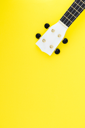 White ukulele on a yellow background and with a place for text. Musical concept. Flat Layの写真素材