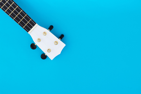 Musical instrument ukulele on a blue background and a place for text. Griffin of the Hawaiian Guitar. Musical conceptの写真素材