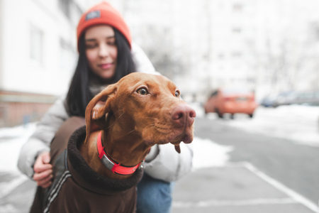 Portrait of a cute brown dog on the street looking at the background of a young woman holding him. Cute girl went out for a walk with a dog on a cold, cold winter day, focusing on a dog. Copyspaceの写真素材