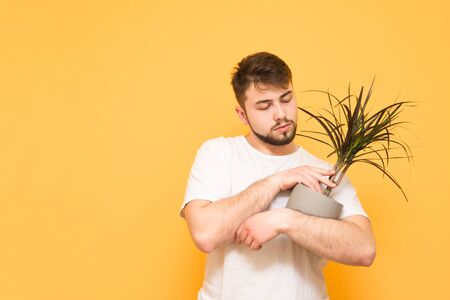 Man with a beard stands on a yellow background and holds a pot with a plant in his hands. Adult man wears a white T-shirt and holds a flowerpot in his hands, isolatedの写真素材