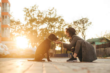 Fashionable lady in coat and hat playing with dog outdoors on background of autumn landscape on sunset background. Girl with a dog sitting on the street on the background of the town at sunset.の写真素材