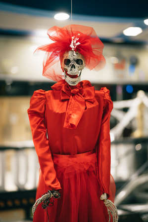 Skeleton of a woman in a red dress indoors, looking at the camera. Woman skeleton scenery for Halloween.の写真素材