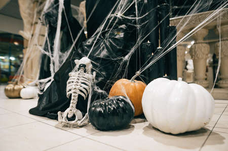 Halloween decor. Dog skeleton and colored pumpkins in a spider web.の写真素材